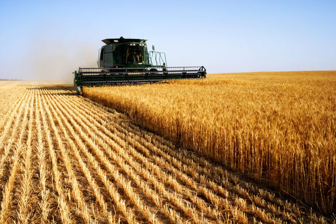 AG Excellence Forum
