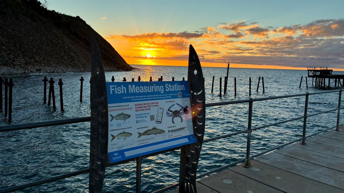 Fish measuring station