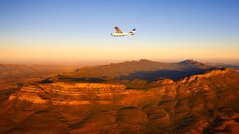Locust crackdown continues with aerial spraying in Mid North and Flinders Ranges