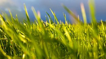 Planning rules relaxed for expanded grain storage as record harvest gets underway