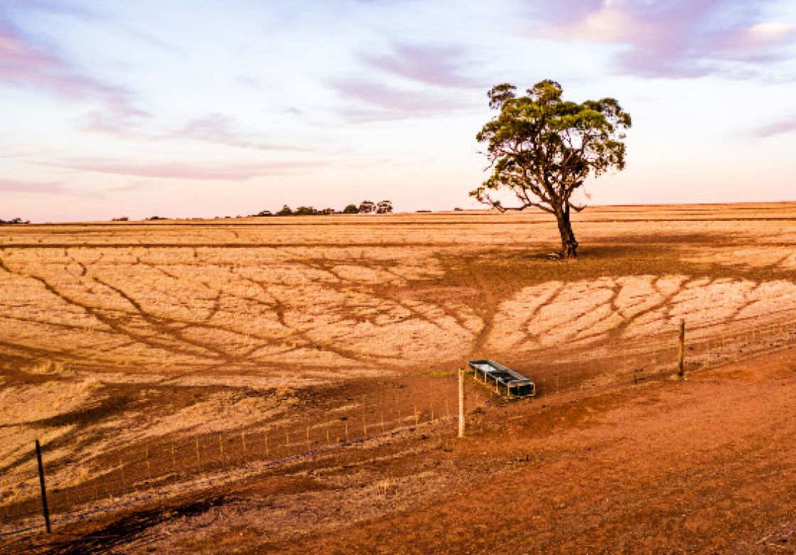 image of dry landscape with tree and a water trough