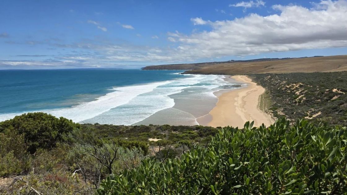 image of pre hab beach for media release