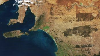 AgInsight South Australia