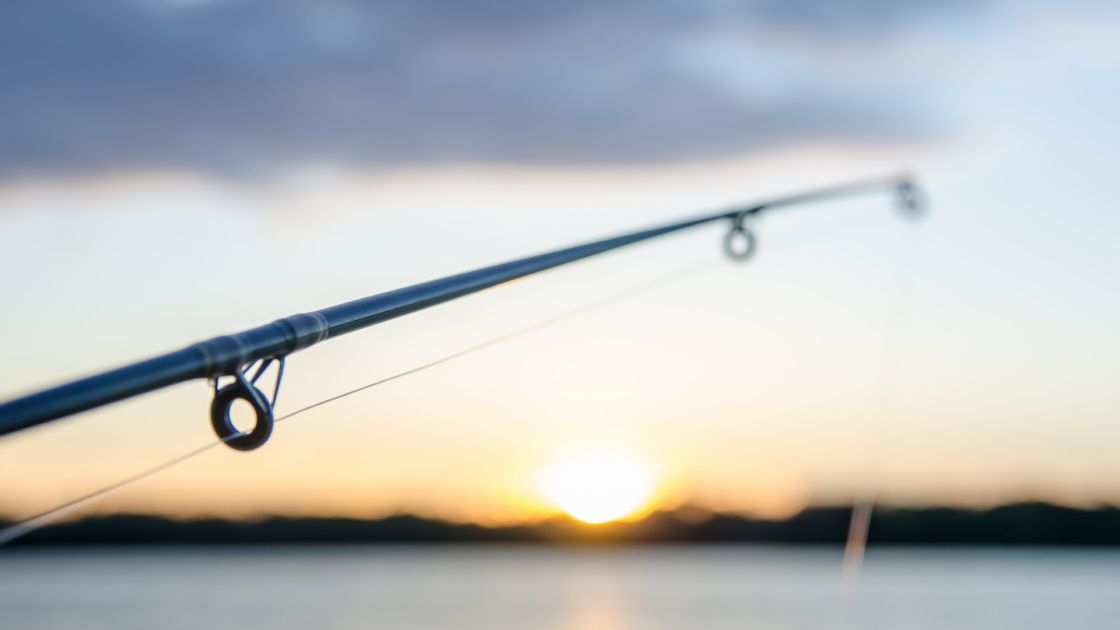 Recreational fishing restrictions eased