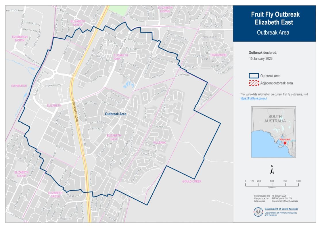 Queensland fruit fly outbreak declared in Elizabeth East