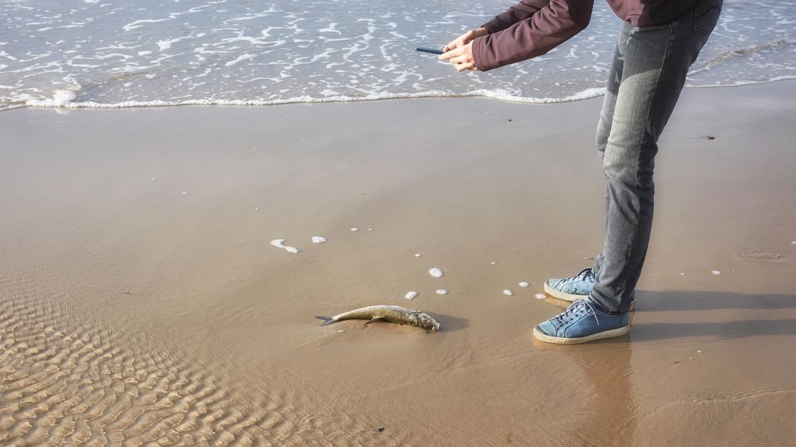 Help protect our waters