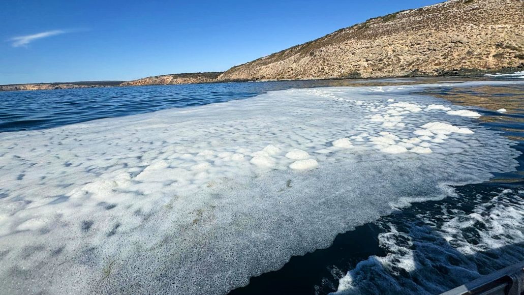 Foam sitting on the ocean with cliffs in the background.