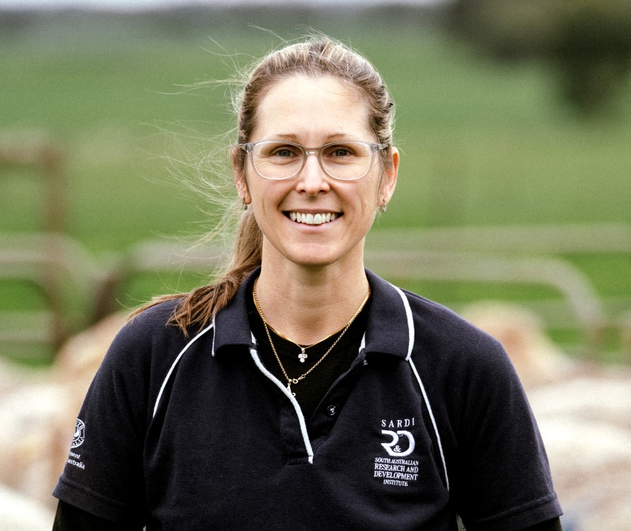 Alyce Lowe