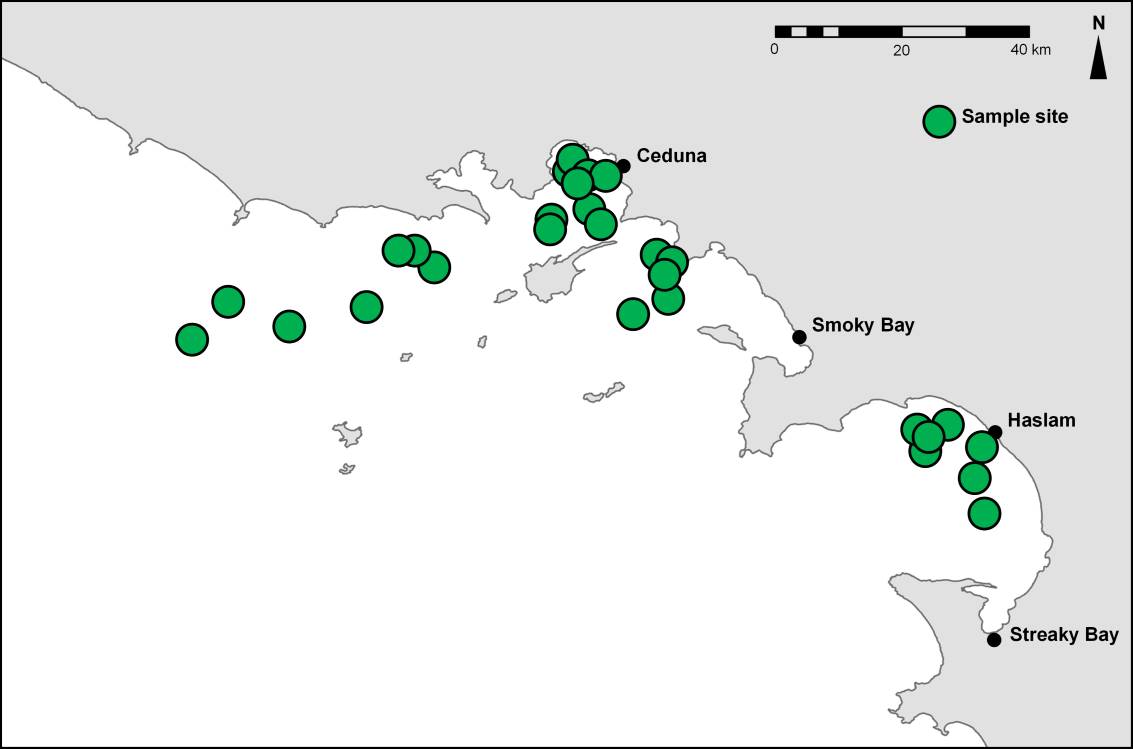 Locations of adult Snapper sampling along the West Coast of Eyre Peninsula, South Australia