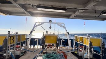 Chasms, Currents, and Connectivity: Linking the Abrolhos Marine Park to the Surrounding Deep-Sea Regions within Australia’s EEZ, March 2024