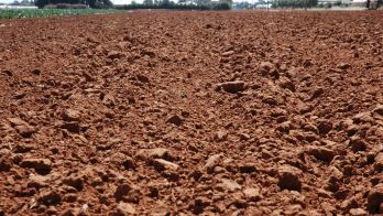 Predicta B: Revolutionising soil health and crop planning
