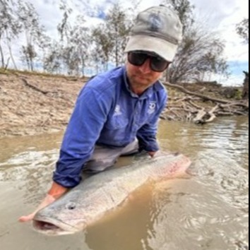 release murray cod