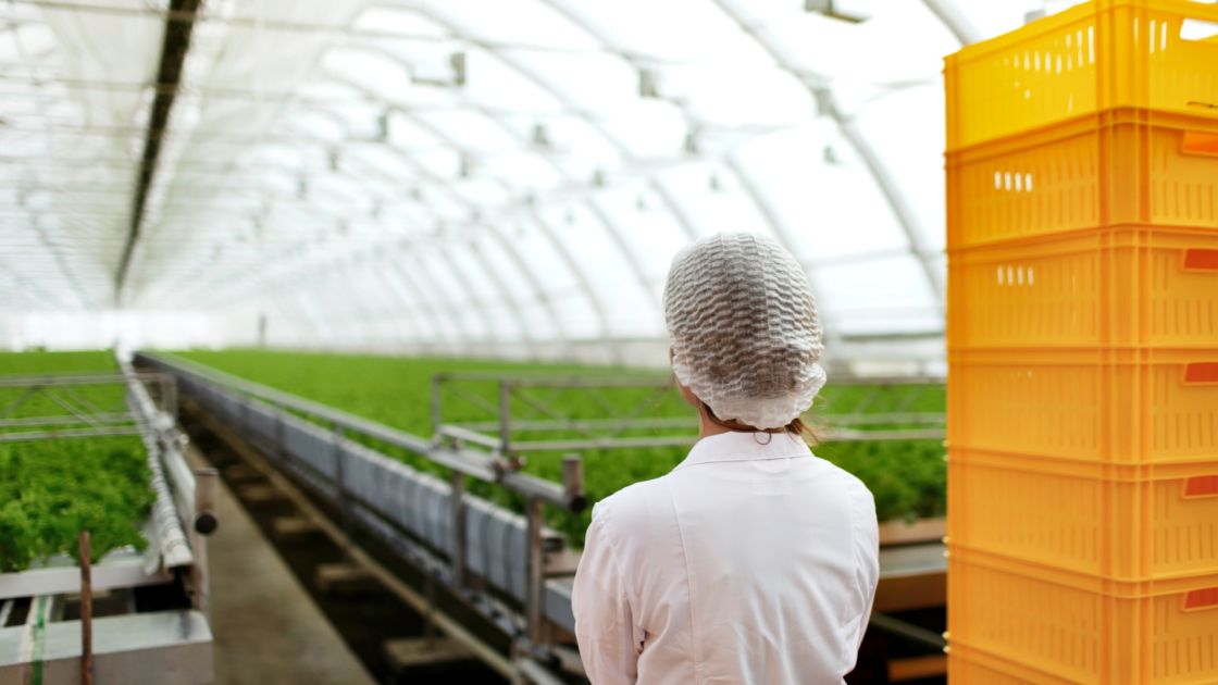 $2 million government investment powers new era of plant research in South Australia