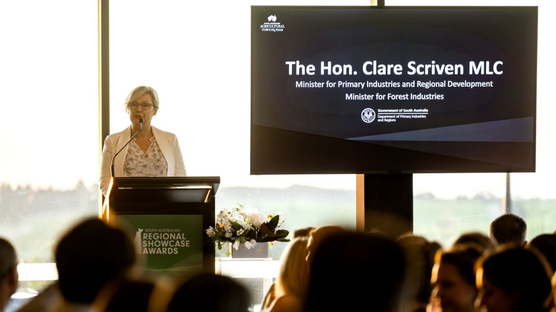 Clare Scriven re-elected as Legislative Council result finalised