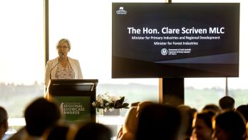 Clare Scriven re-elected as Legislative Council result finalised