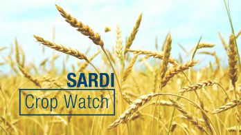 Cereal and pulse variety disease guides