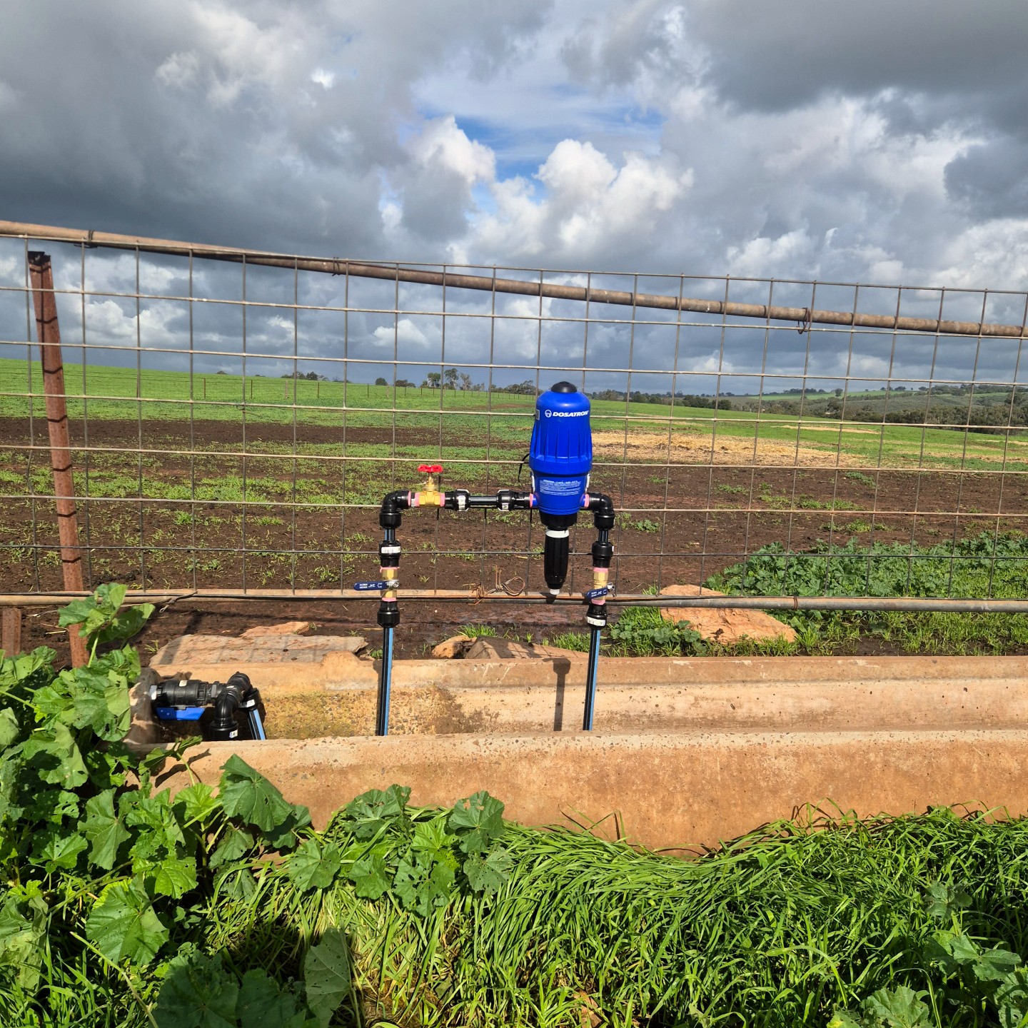 Dosatron water set up 