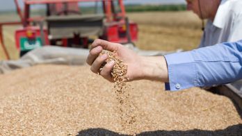 Investing in the next generation of South Australian agricultural innovation