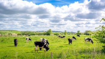 First virtual fencing system approved for use in South Australia