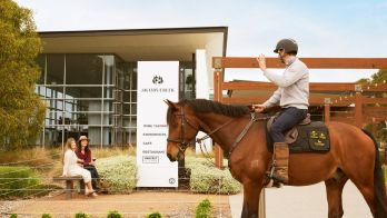Celebrating South Australian wine tourism with industry accolades and regional events