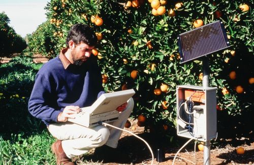 Peter Weir collecting soil water information for irrigation scheduling, 1984