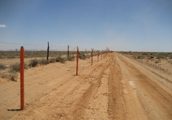 Dirt road lined with electric fence
